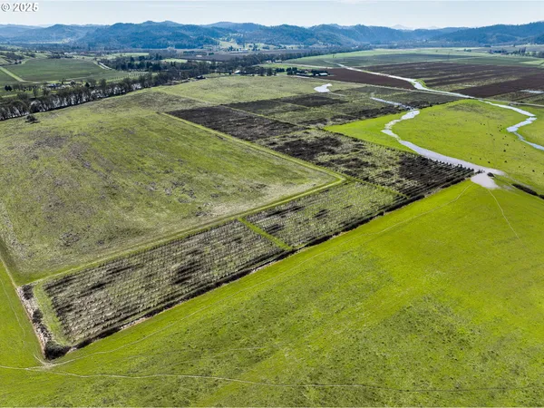 $3,500,000 | 687 Hubbard Creek Road, Umpqua, OR 97486