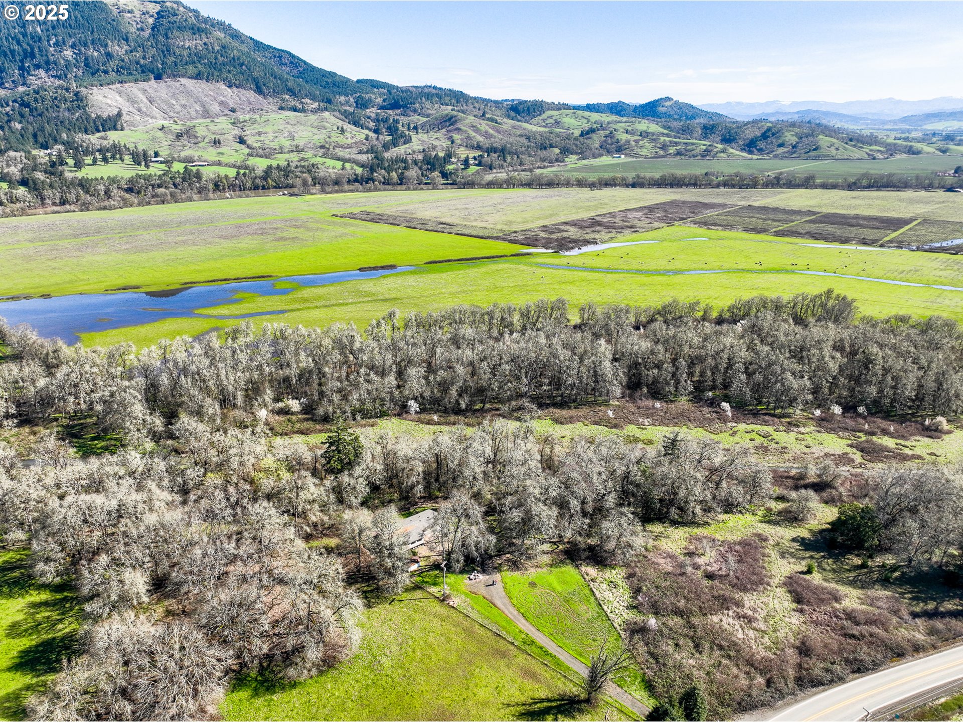 687 Hubbard Creek Road Umpqua, OR 97486 - Photo 20 of 33