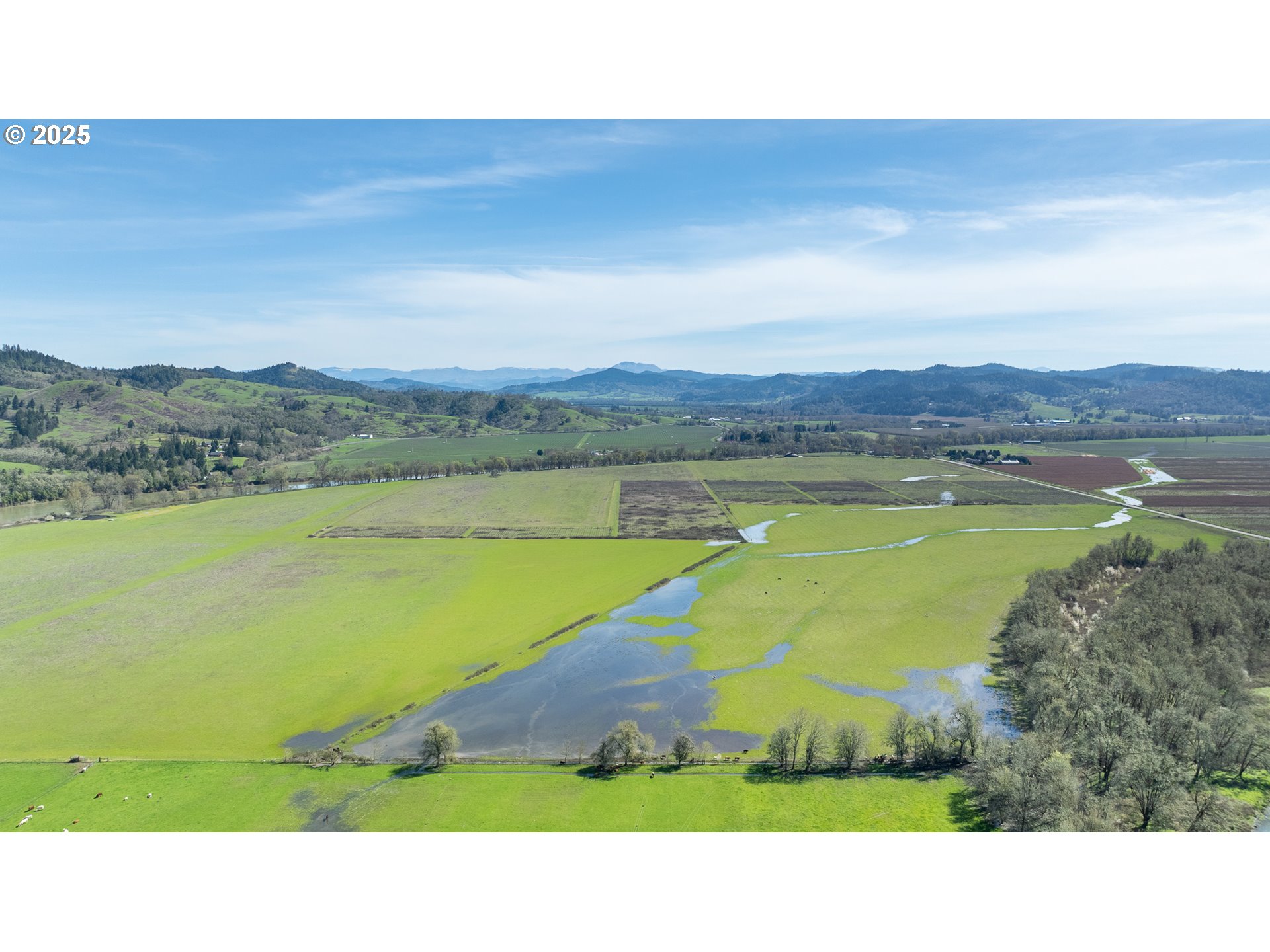 687 Hubbard Creek Road Umpqua, OR 97486 - Photo 23 of 33