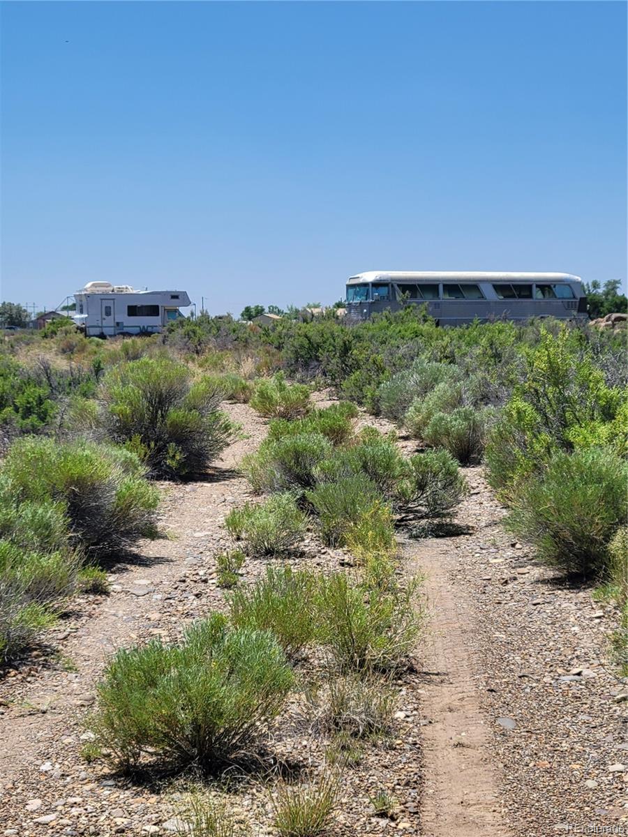 a view of a green field with lots of bushes