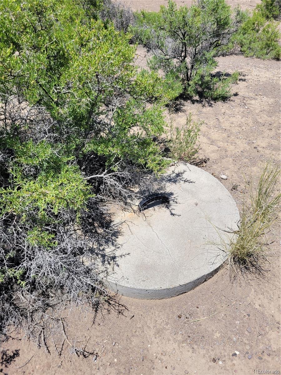 6185 Hart Road Alamosa, CO 81101 - Photo 14 of 19 a view of a dry yard with a sink and trees