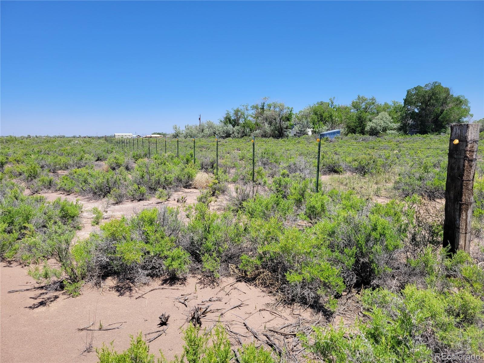 6185 Hart Road Alamosa, CO 81101 - Photo 7 of 19 a view of a forest with a yard