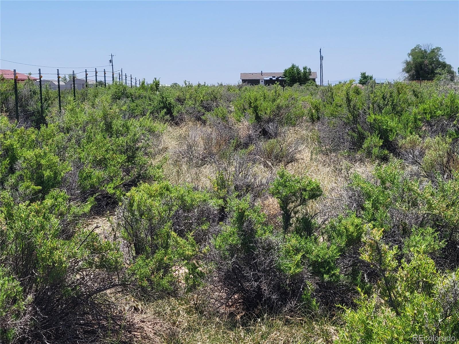 6185 Hart Road Alamosa, CO 81101 - Photo 8 of 19 a view of a garden with a building in front of it