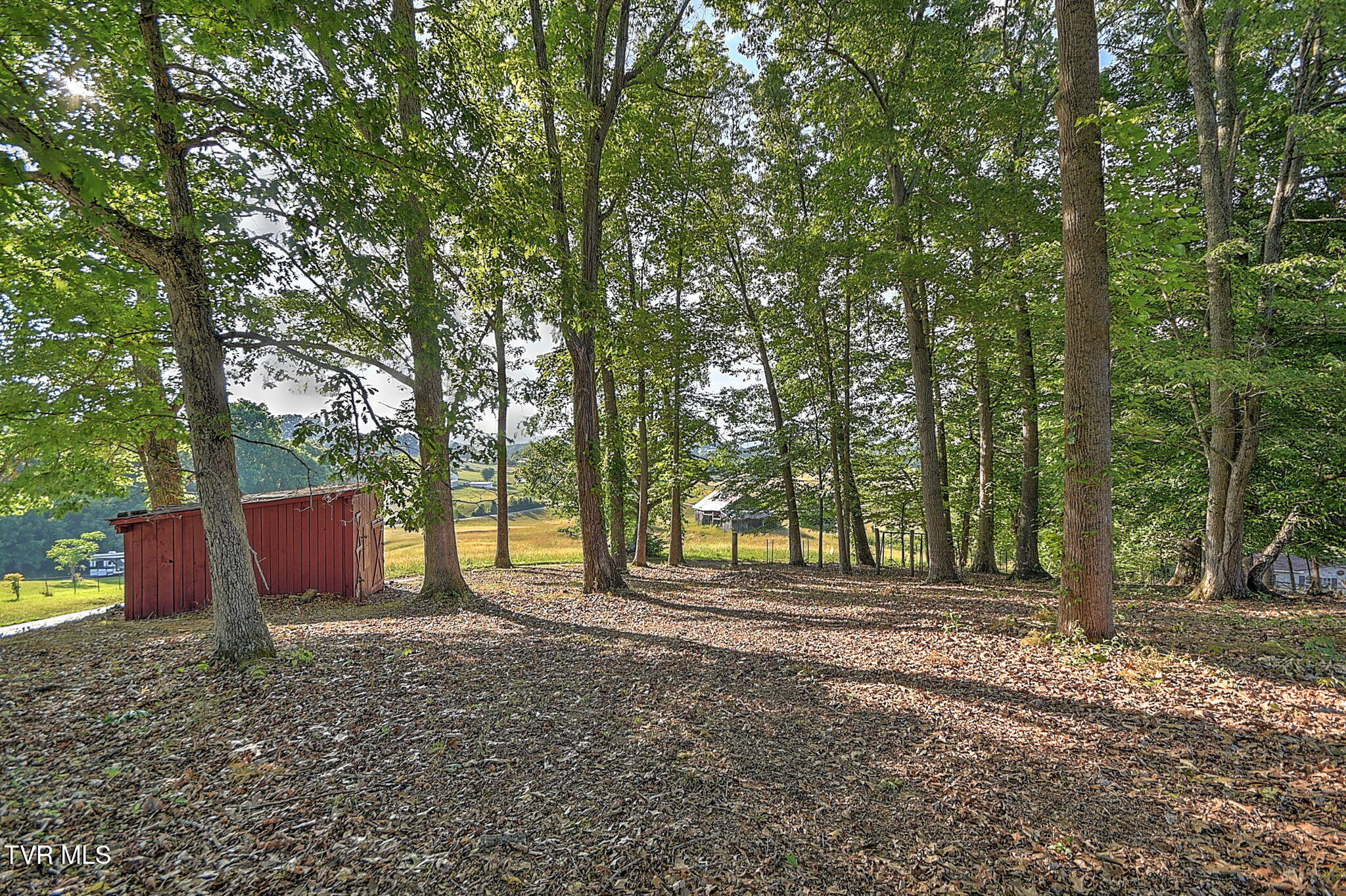 55 Short Road Chuckey, TN 37641 - Photo 45 of 73 45-web-or-mls-55 Short Rd CP-45