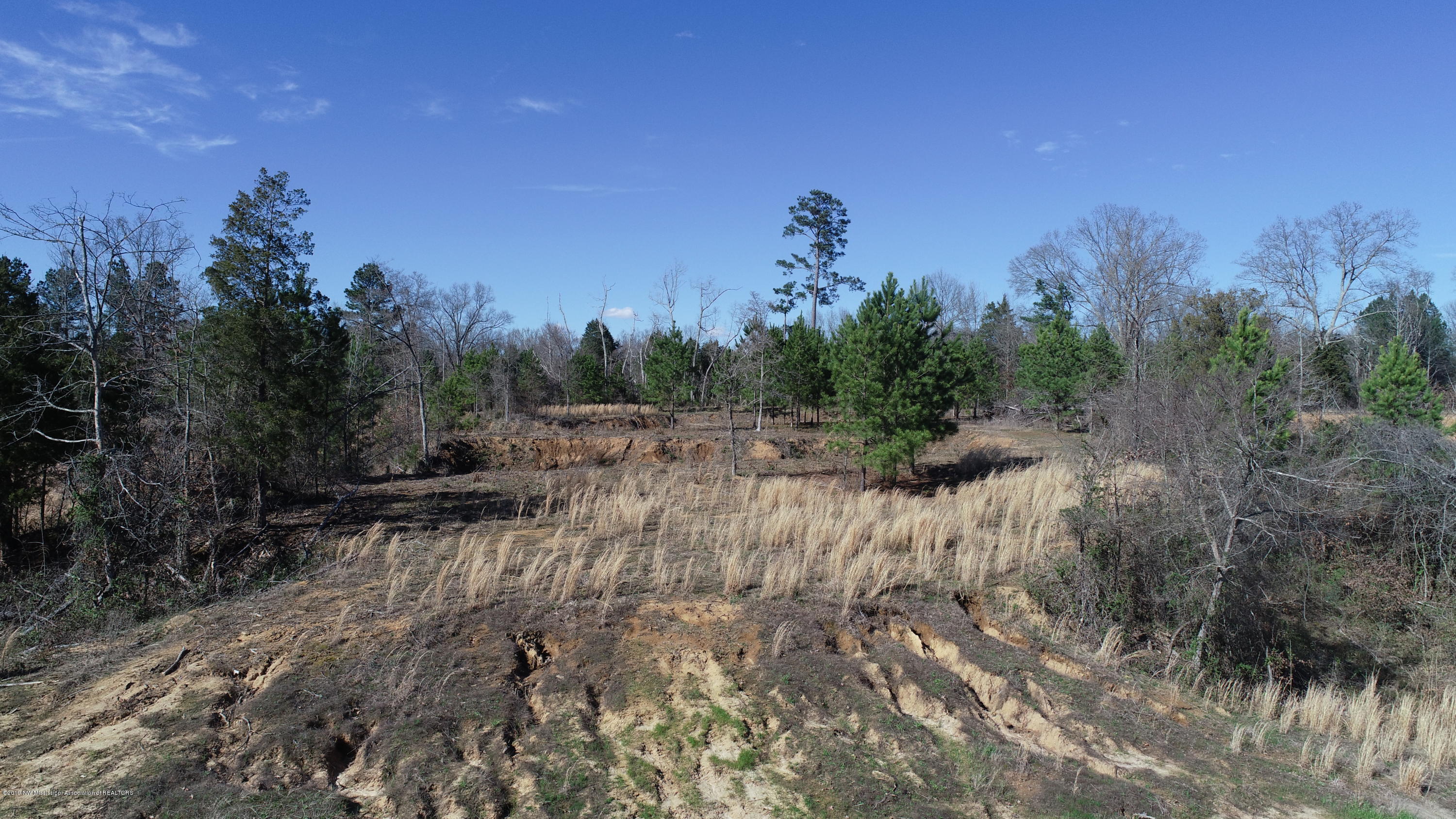 10 Lee Road Byhalia, MS 38611 - Photo 5 of 7 DJI_0007