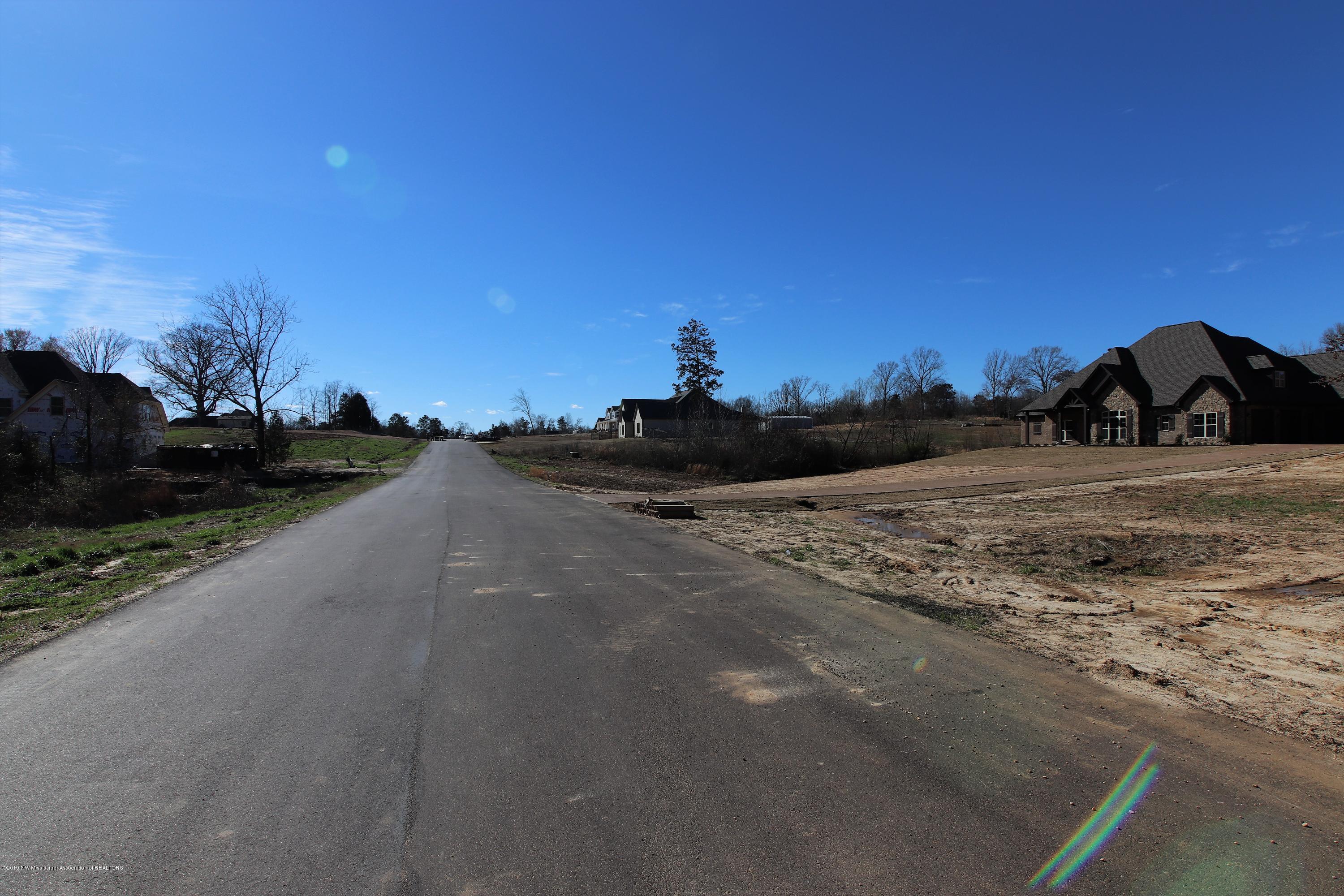 10 Lee Road Byhalia, MS 38611 - Photo 6 of 7 IMG_3381 (2)
