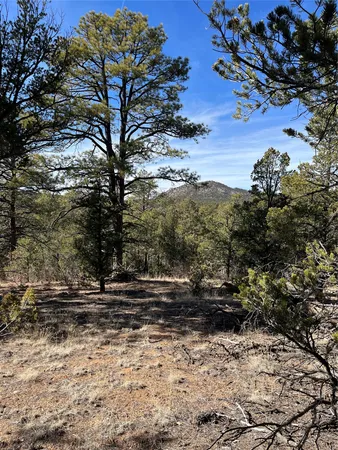 $150,000 | 0 La Posta Way, Unit TRACT 71, Santa Fe, NM 87505