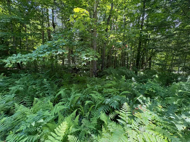 $99,000 | 0 Robtoy Road, Westfield, VT 05874