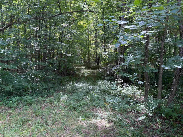 $99,000 | 0 Robtoy Road, Westfield, VT 05874