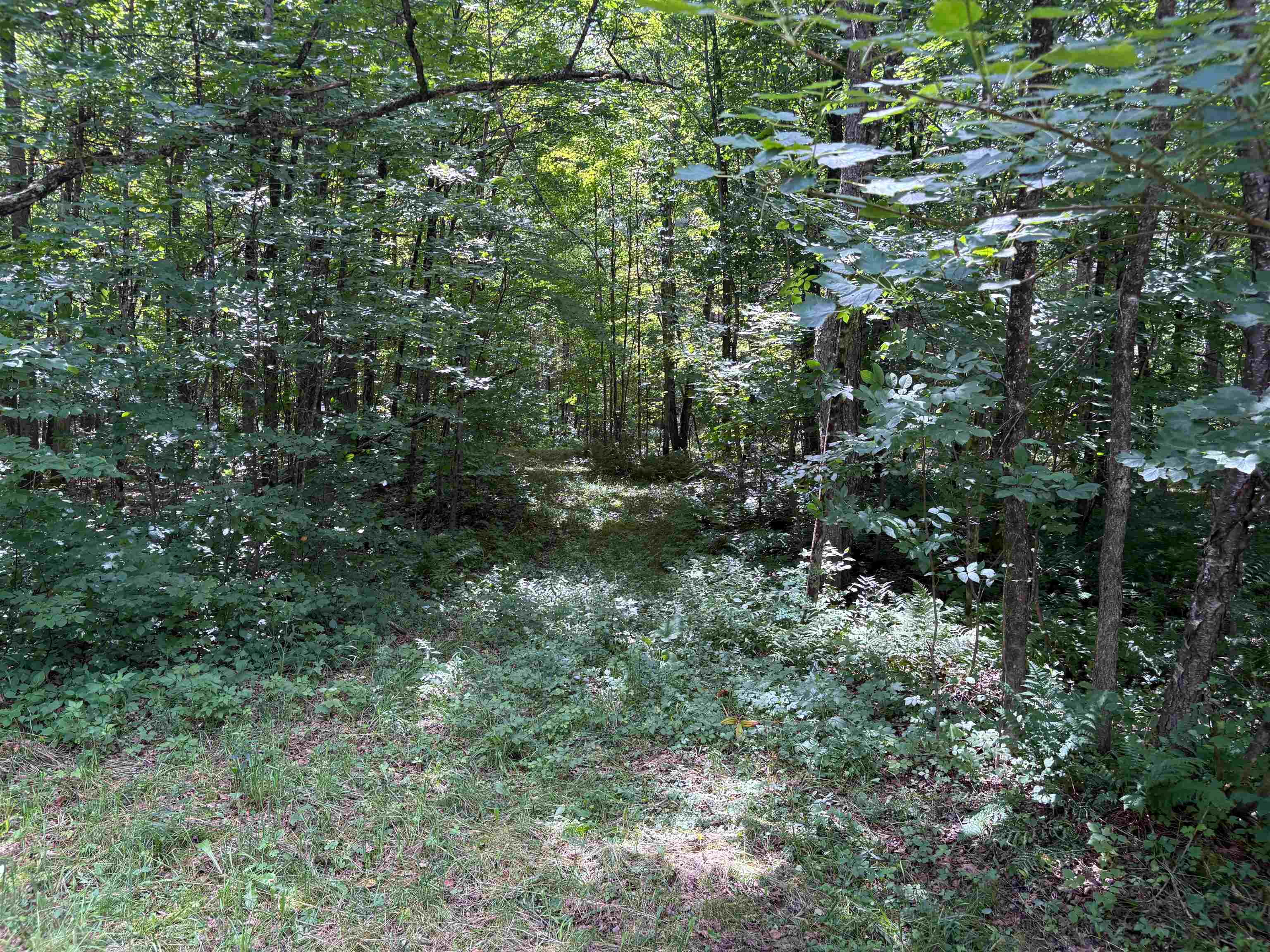 0 Robtoy Road Westfield, VT 05874 - Photo 9 of 10