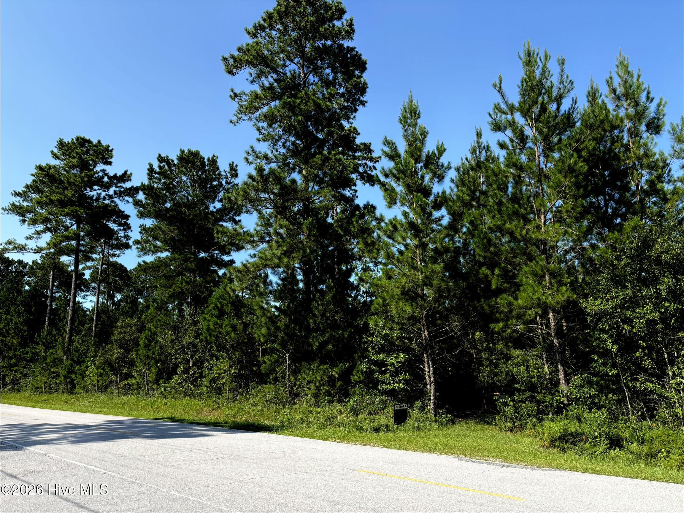 0 Lee Rogers Road Hubert, NC 28539 - Photo 1 of 4
