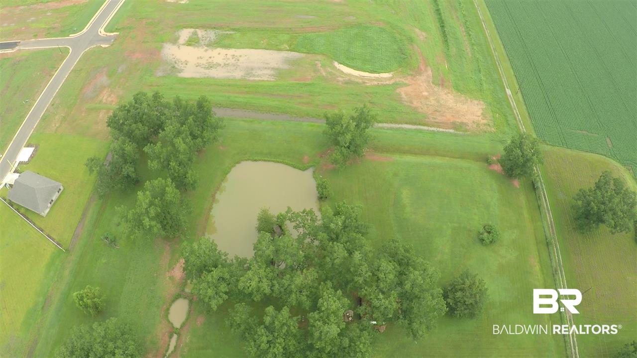 8477 County Road 64 Daphne, AL 36526 - Photo 11 of 19