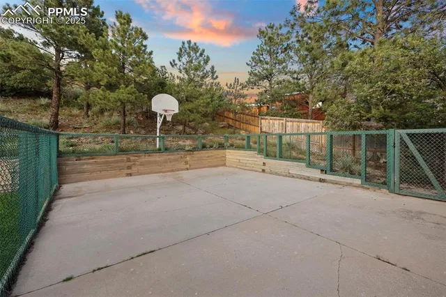 a view of backyard and tree