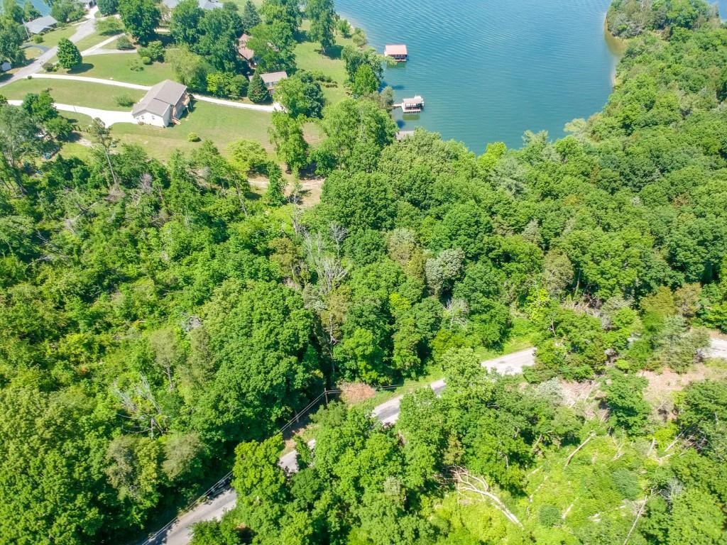 0 Blue Water Trail Spring City, TN 37381 - Photo 14 of 36 Gallery Image 14