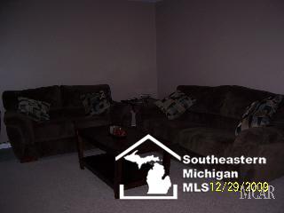 503 Ridge Point Drive Dundee, MI 48131 - Photo 8 of 20 927178-7.JPG