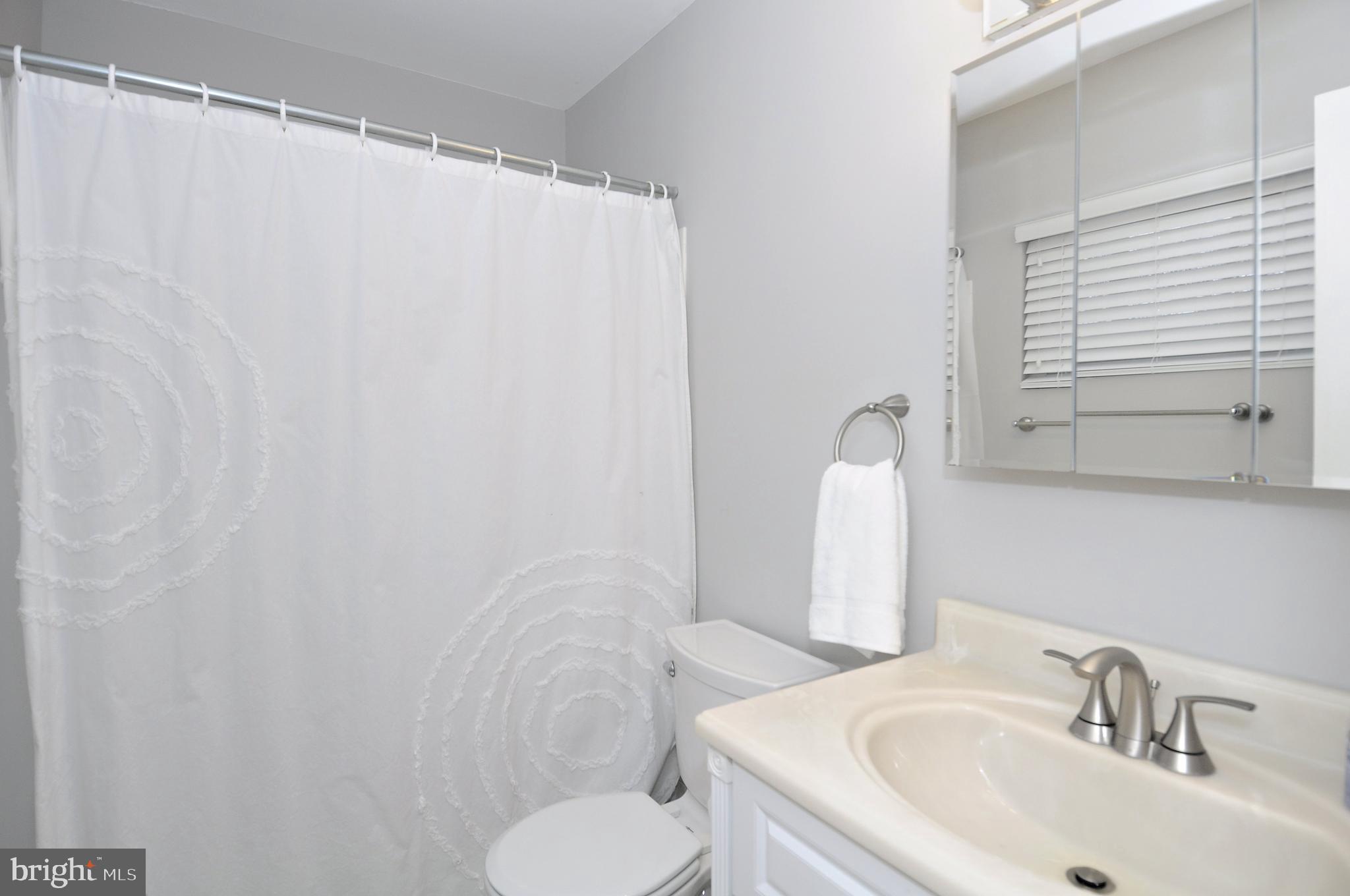 2245 Wheelwright Court Reston, VA 20191 - Photo 20 of 38 En-suite Primary Bath