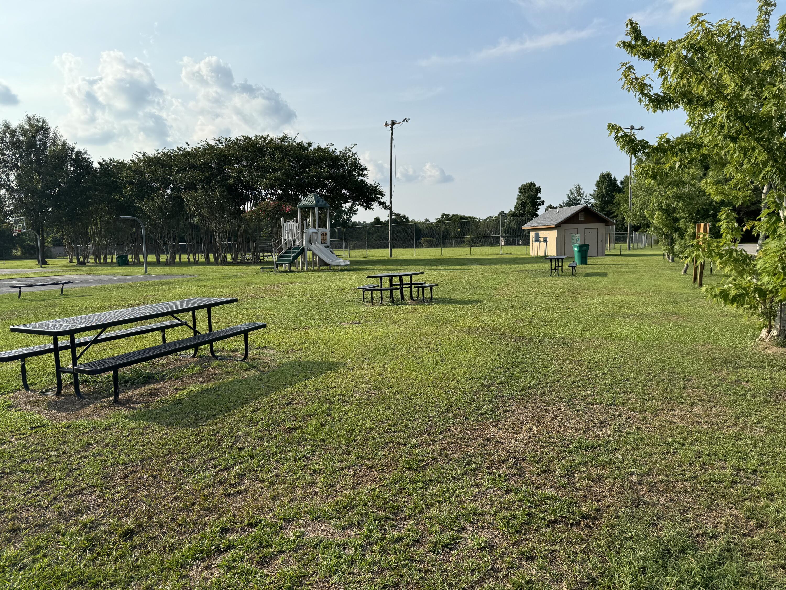 7 J Street Summerton, SC 29148 - Photo 16 of 21 Picnic area