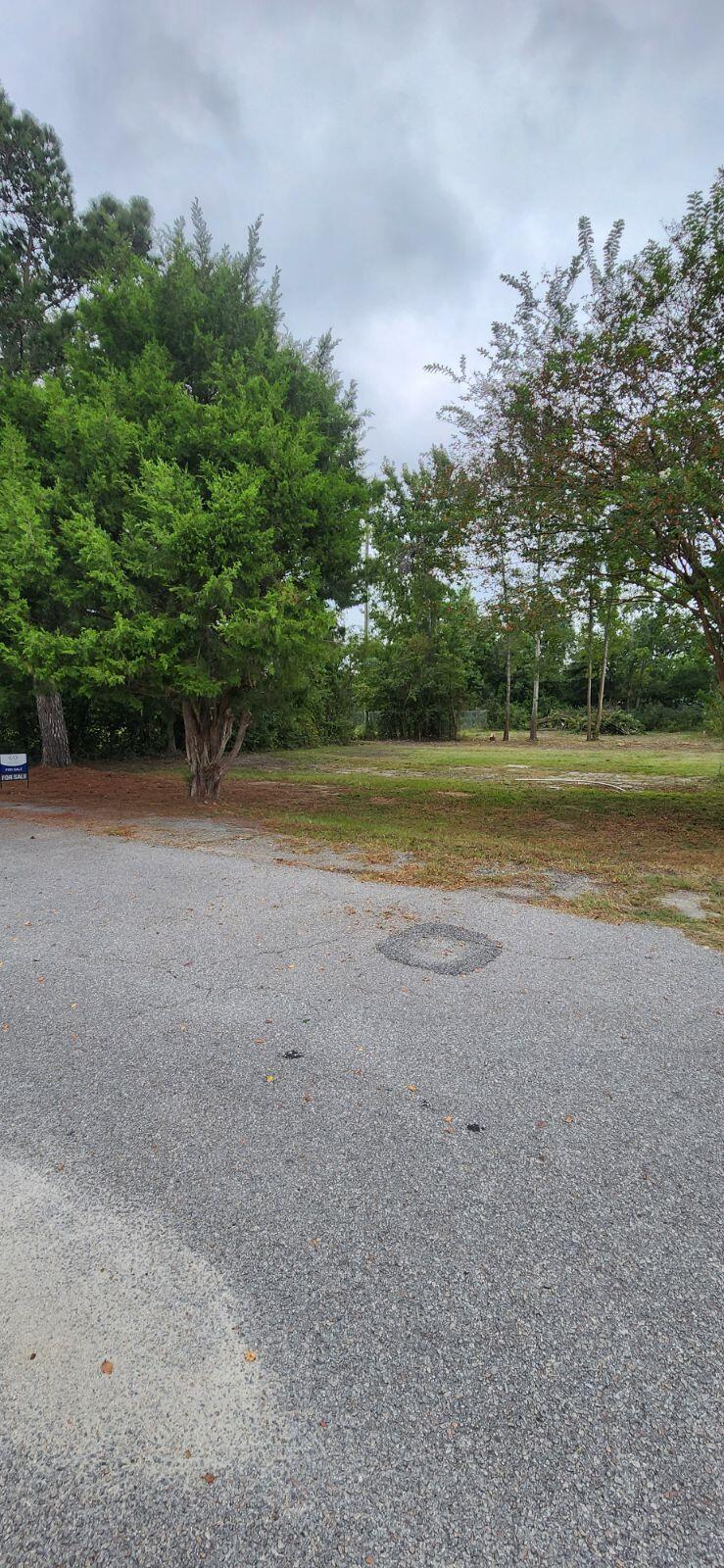 7 J Street Summerton, SC 29148 - Photo 21 of 21 Lot clean up