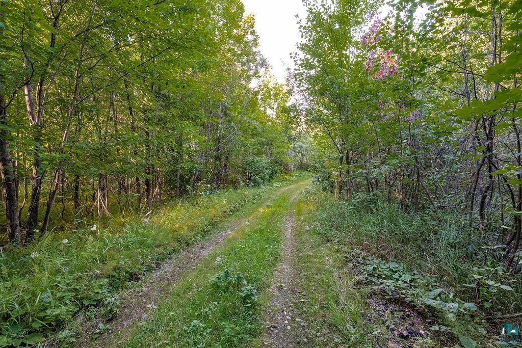 Xxx Crane Lake Road Orr, MN 55771 - Photo 13 of 14 Gallery Image 13