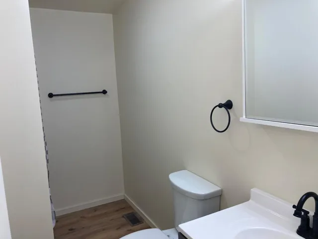 a bathroom with a sink and toilet
