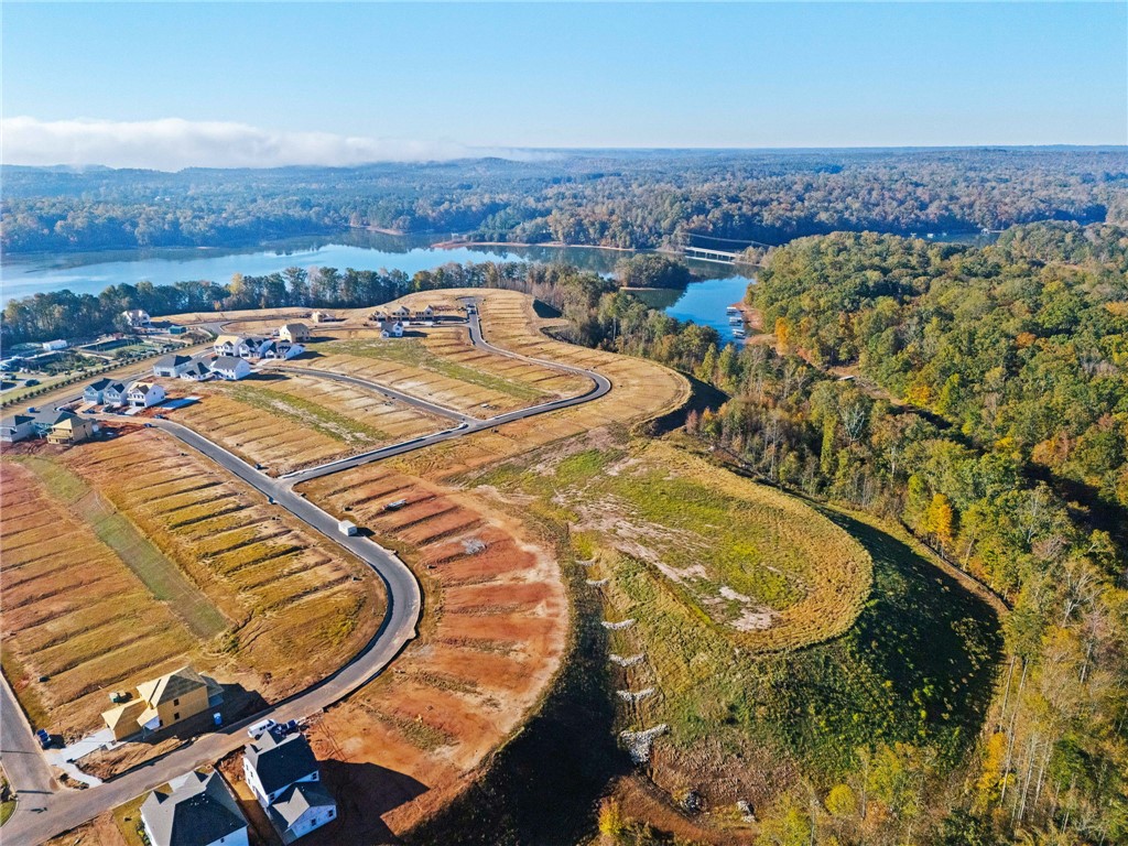 555 Hydrangea Street, Unit LOT 47 Seneca, SC 29678 - Photo 39 of 42 An aerial perspective showcases a new community with scenic lake views and surrounding natural beauty.