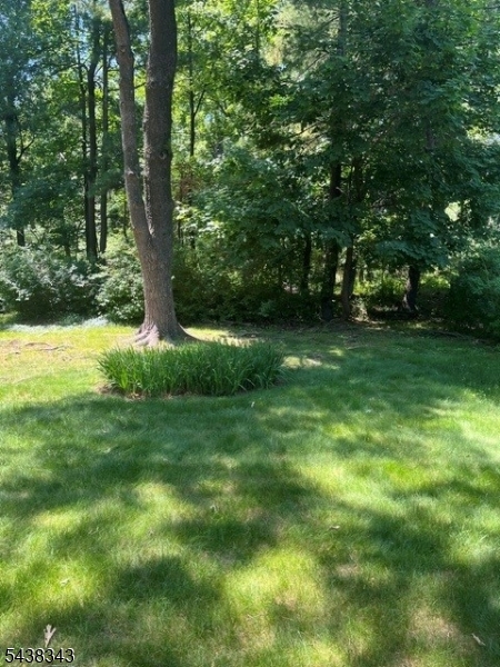 54 Oak Crest Road West Orange, NJ 07052 - Photo 3 of 4