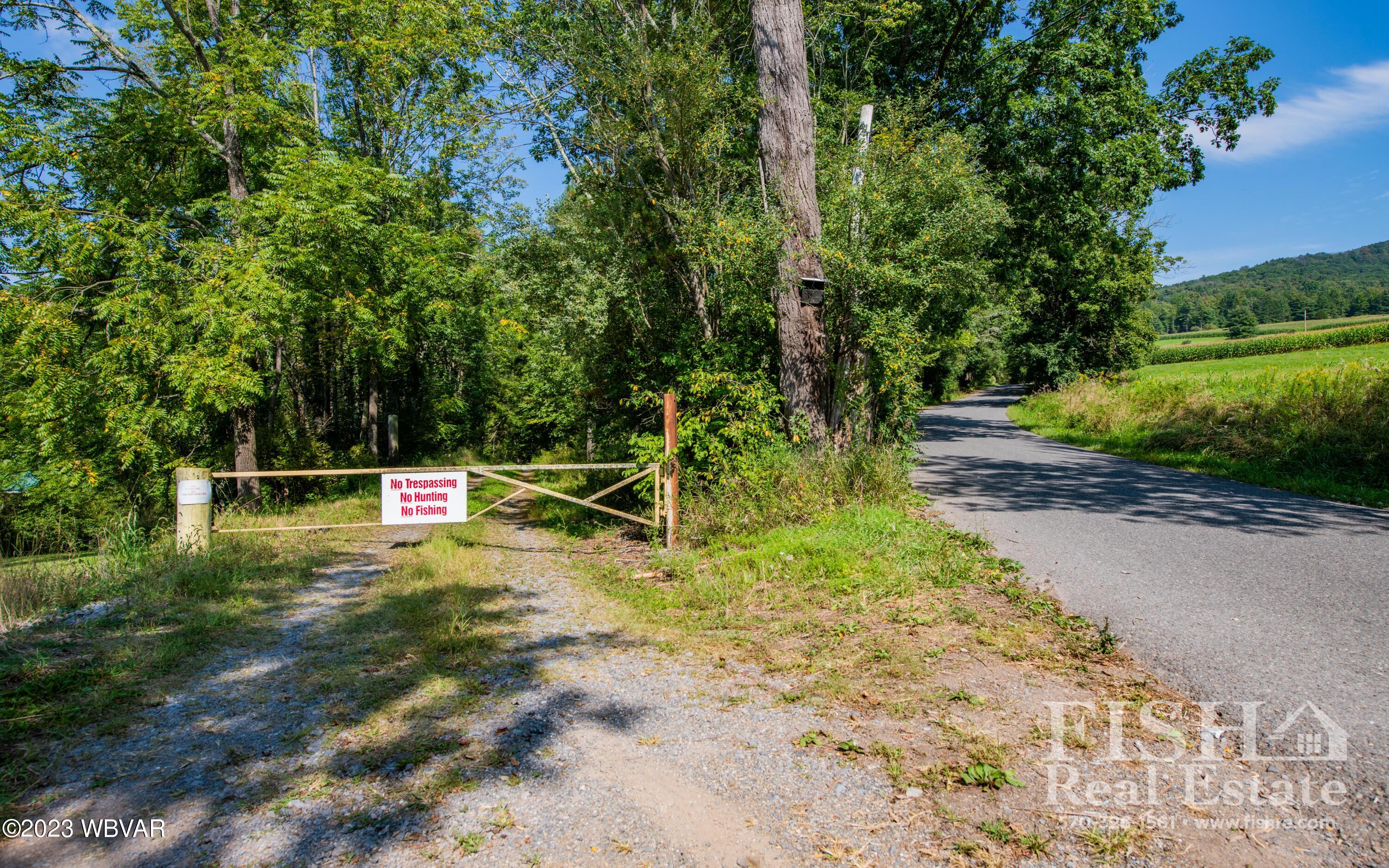 357 Hoagland Run Road Cogan Station, PA 17728 - Photo 2 of 39 Gallery Image 2