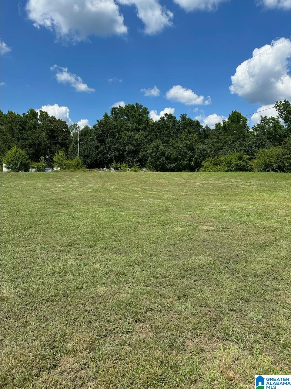 180 County Road 879 Montevallo, AL 35115 - Photo 4 of 7
