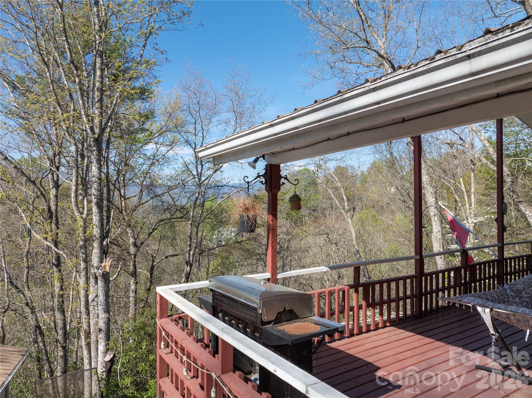 344 Pine Ridge Trail Almond, NC 28702 - Photo 4 of 36
