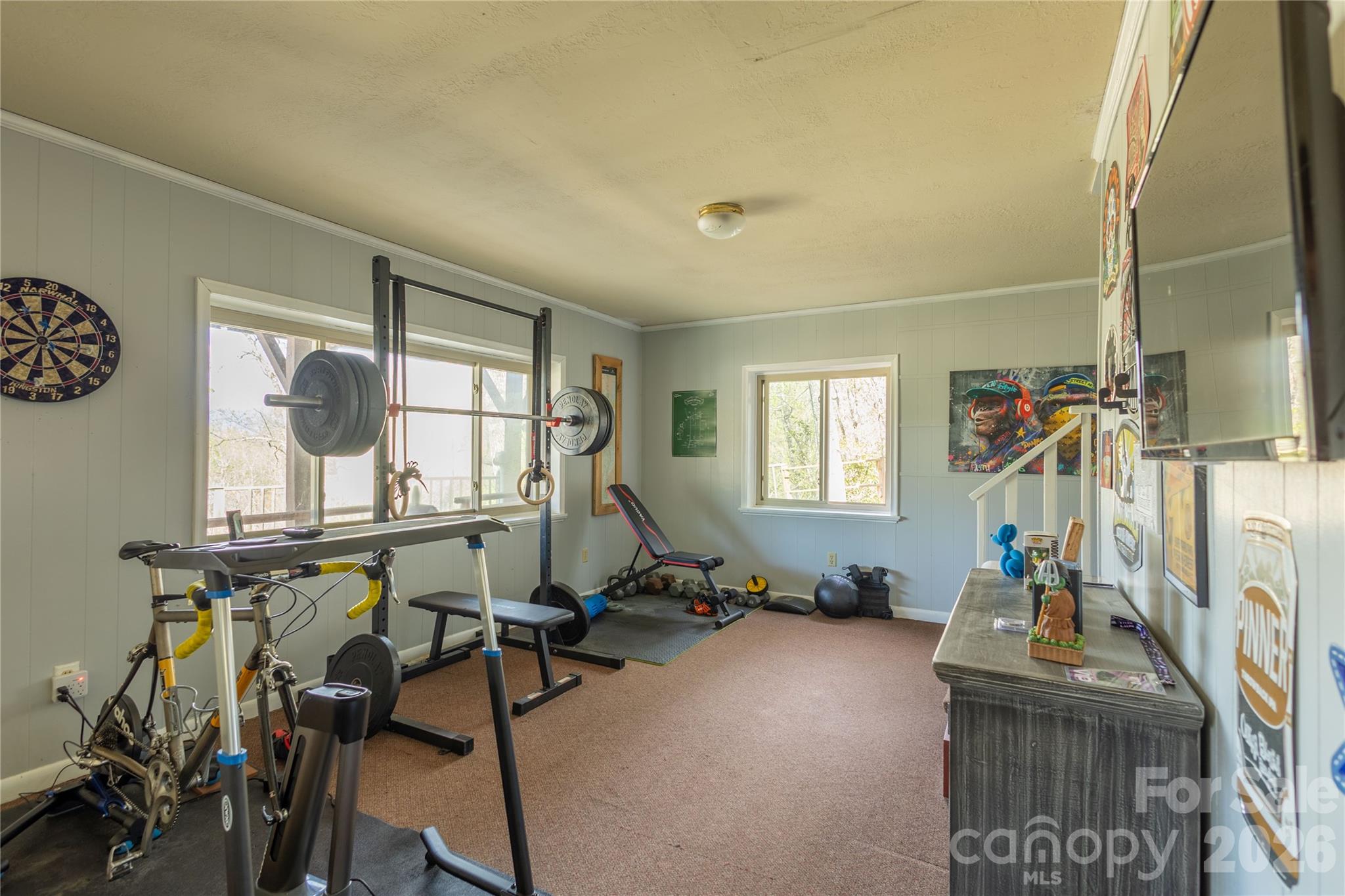 344 Pine Ridge Trail Almond, NC 28702 - Photo 6 of 36 a view of a room with gym equipment