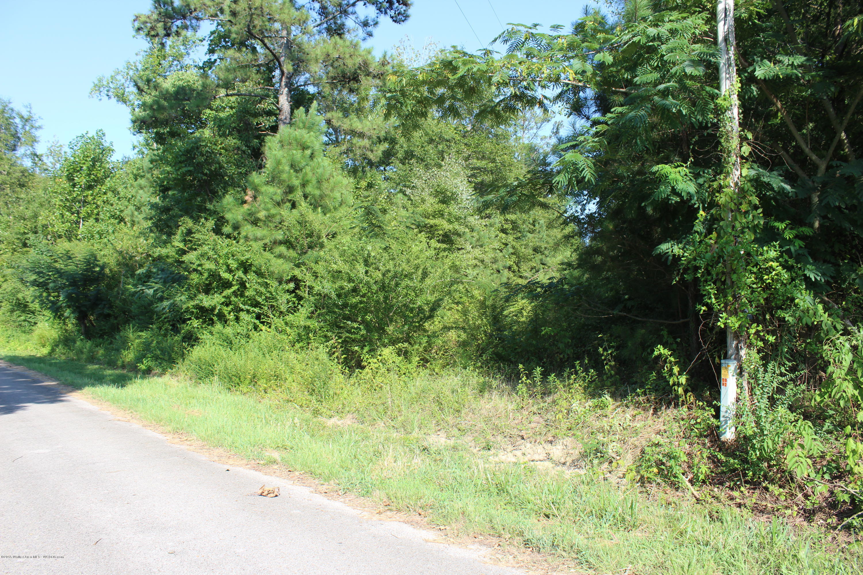 Royster Road Jasper, AL 35503 - Photo 8 of 9 Gallery Image 8