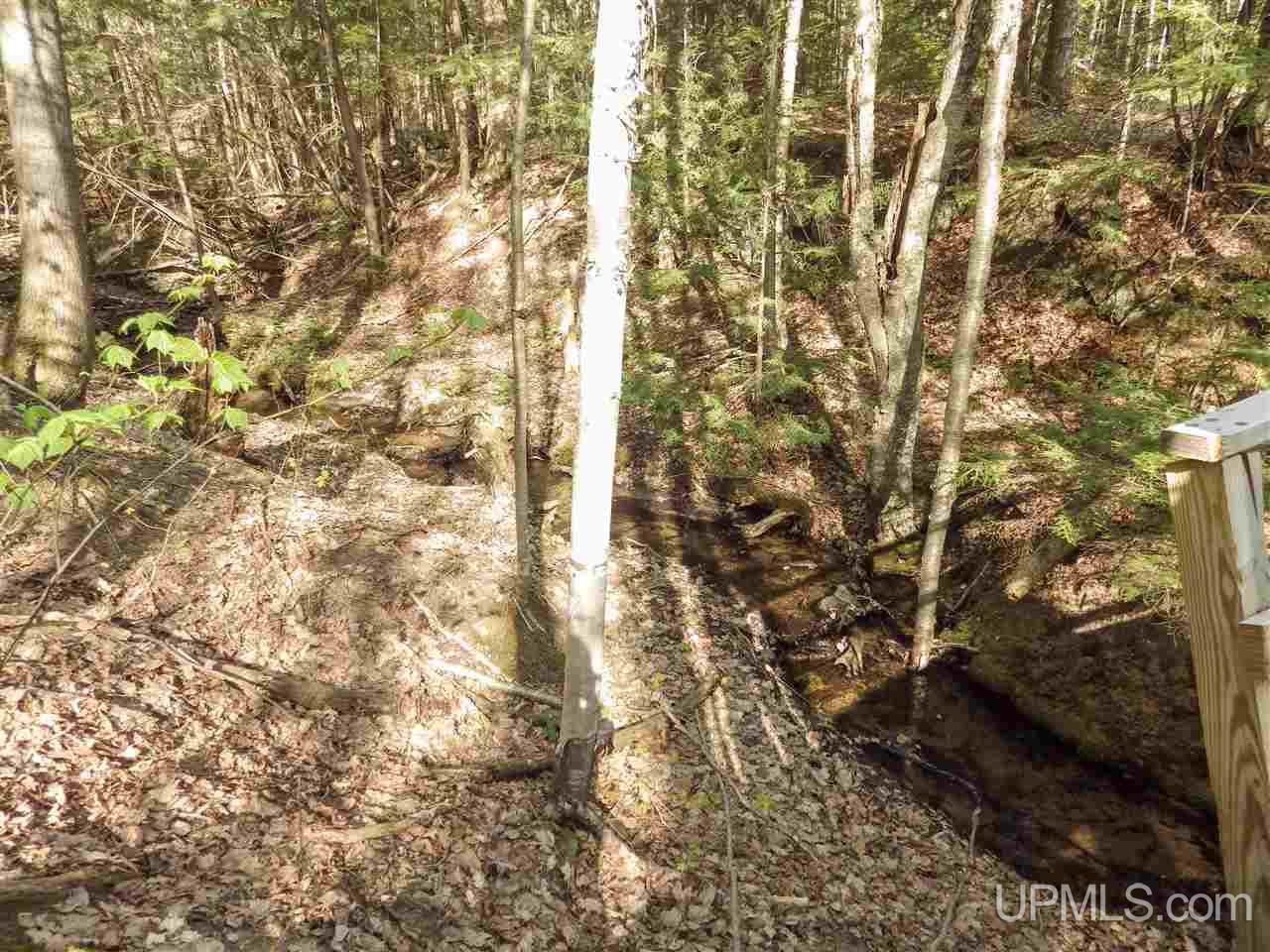 30 Acres Off Grove Street Marquette, MI 49855 - Photo 5 of 22