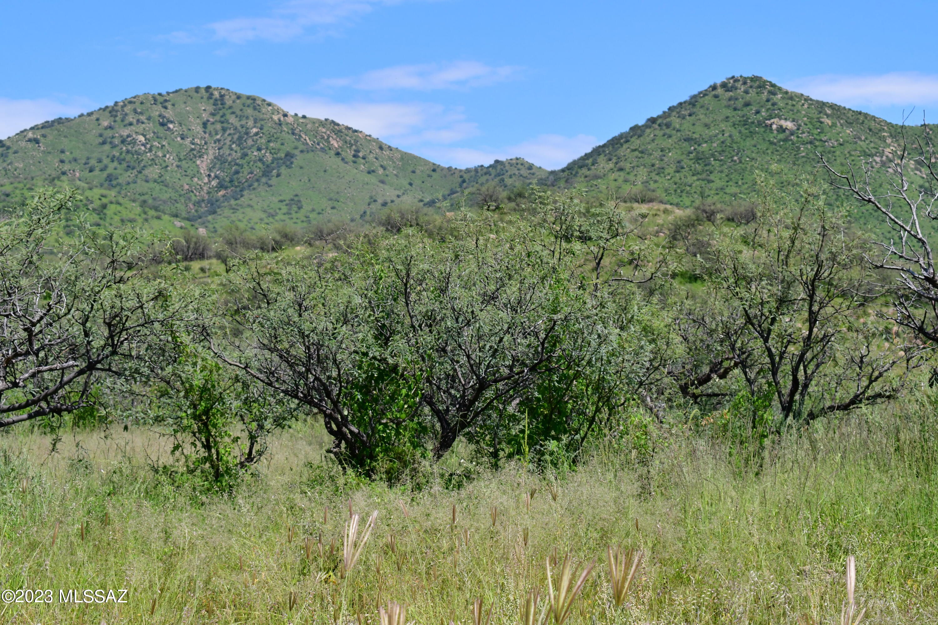0 Mesquite Trail, Unit 131 Rio Rico, AZ 85648 - Photo 12 of 12 Gallery Image 12