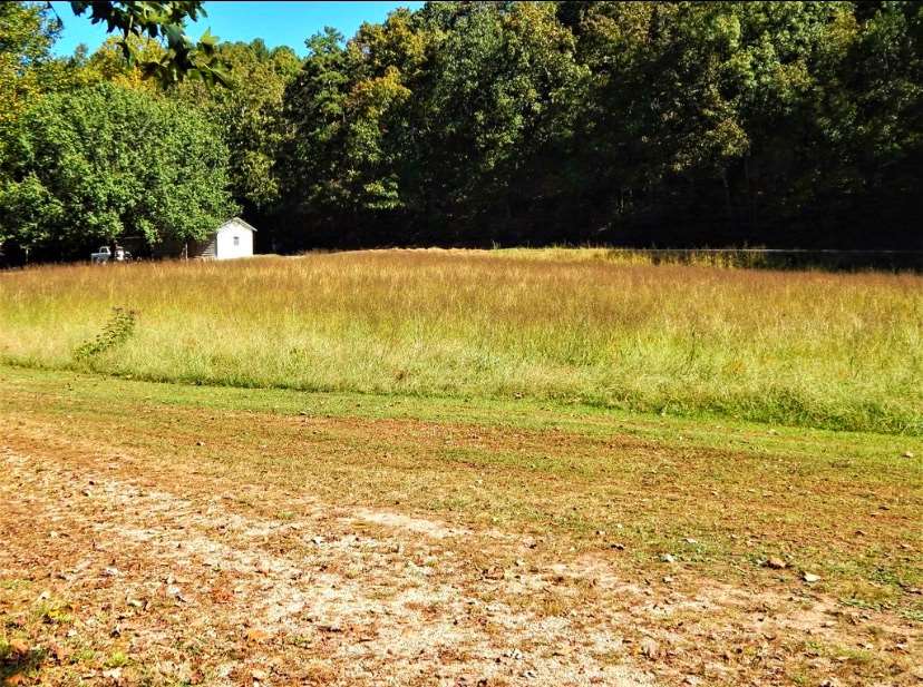 1098 Green River Road Waynesboro, TN 38485 - Photo 10 of 25 Gallery Image 10