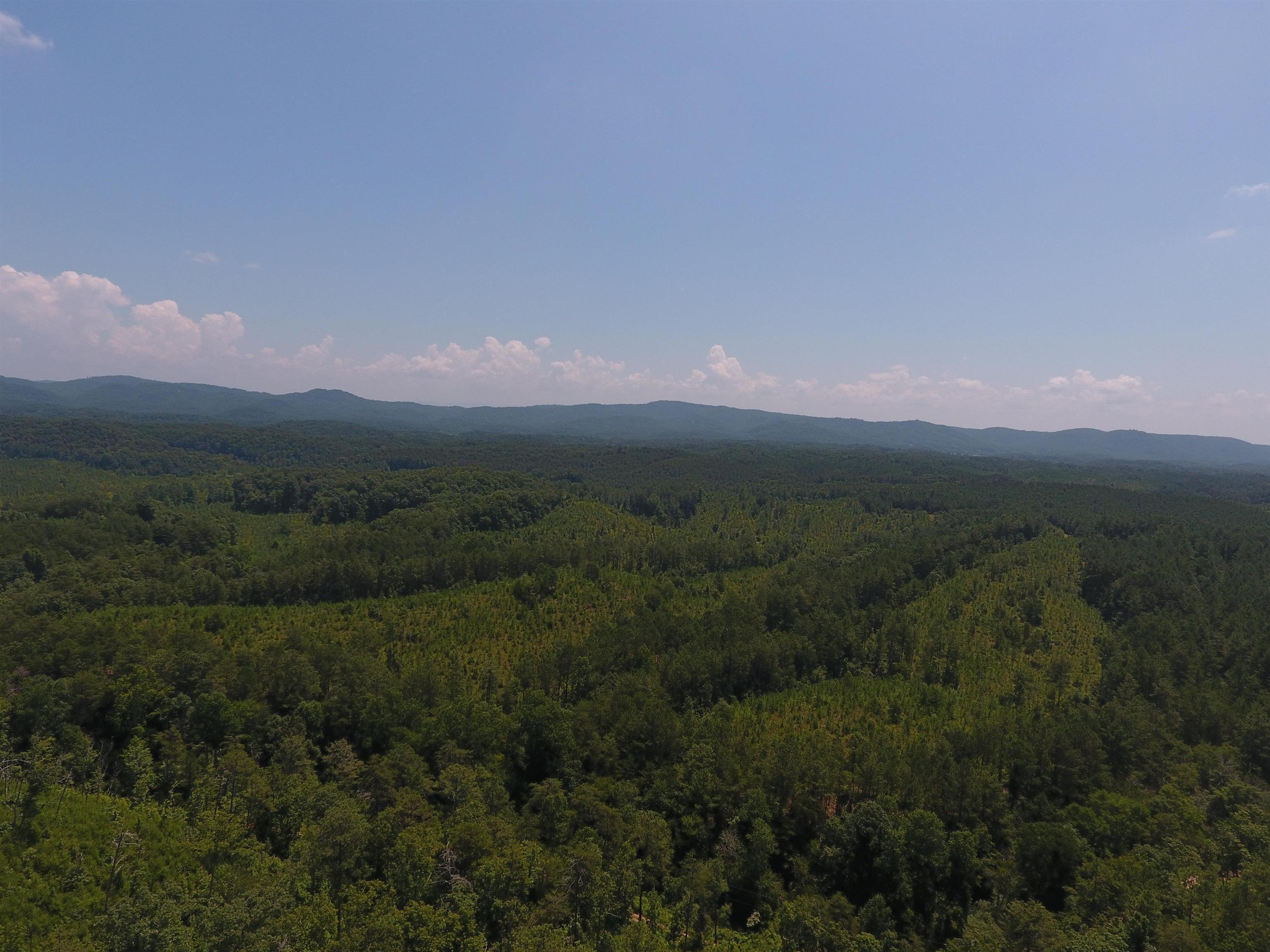 0 Hightower Loop Northeast, Unit 9628B Ranger, GA 30734 - Photo 1 of 1 a view of a city with lush green forest
