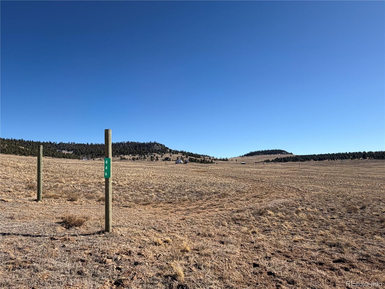 388 Cohonina Road Hartsel, CO 80449 - Photo 19 of 25