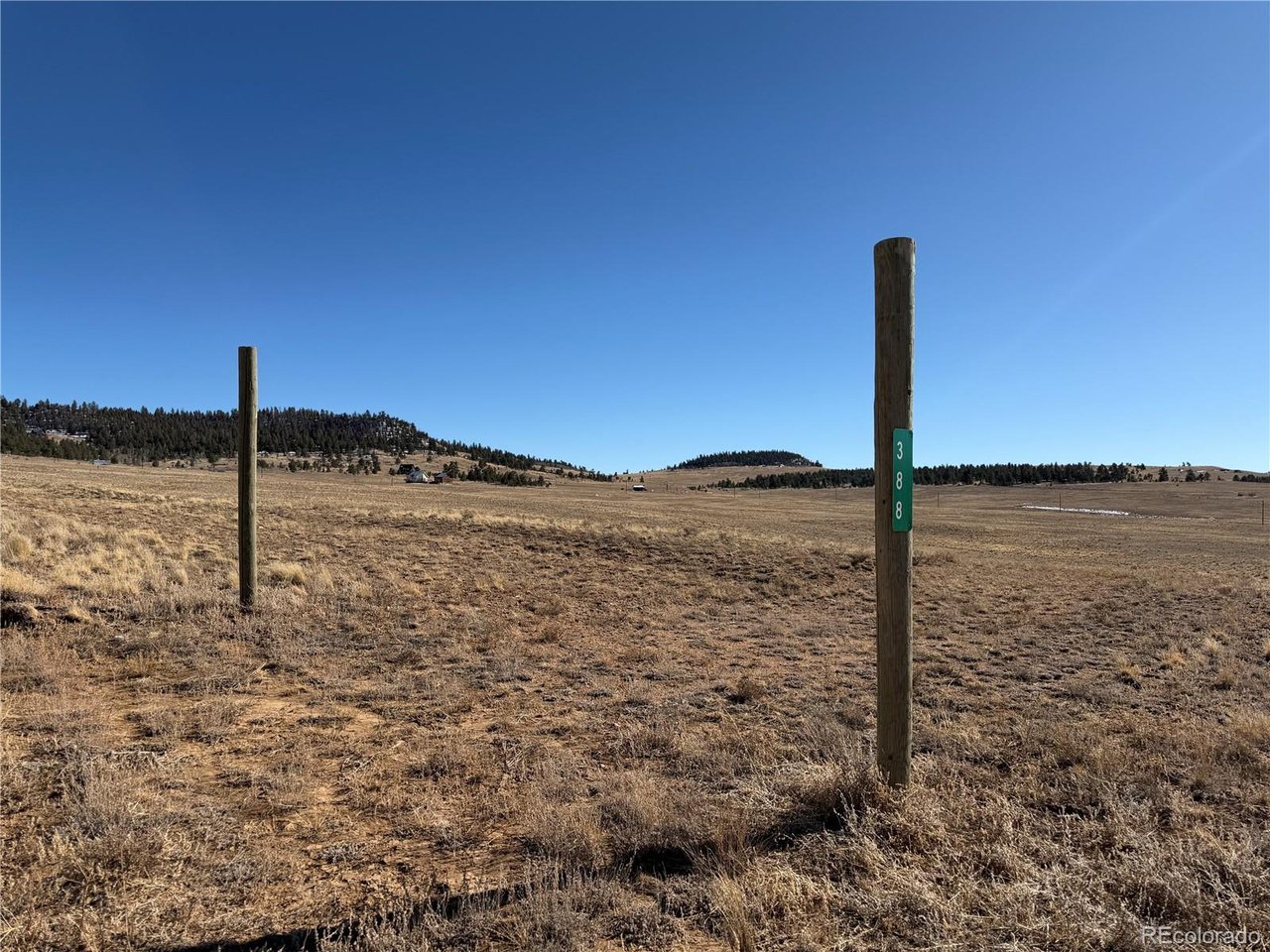 388 Cohonina Road Hartsel, CO 80449 - Photo 3 of 25