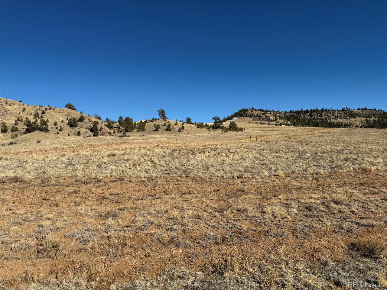 388 Cohonina Road Hartsel, CO 80449 - Photo 9 of 25
