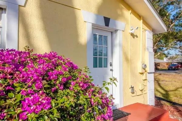 a flower plants in front of a house