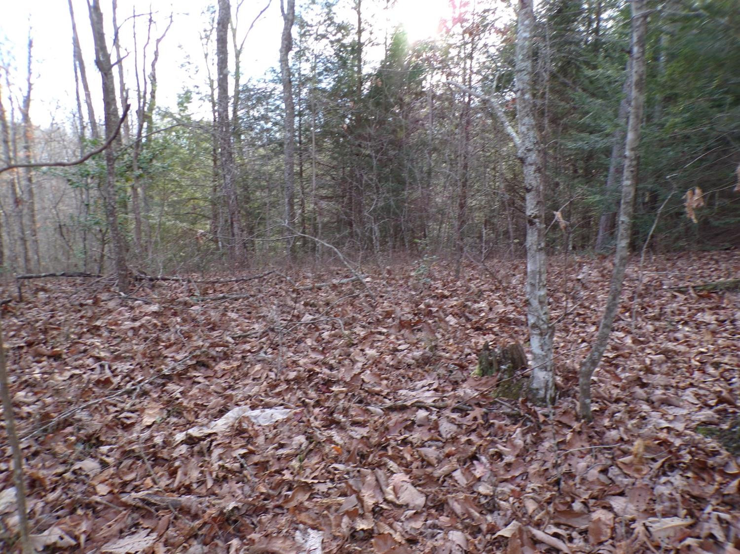 4200 Forest Service Road London, KY 40744 - Photo 7 of 44 Photo 7