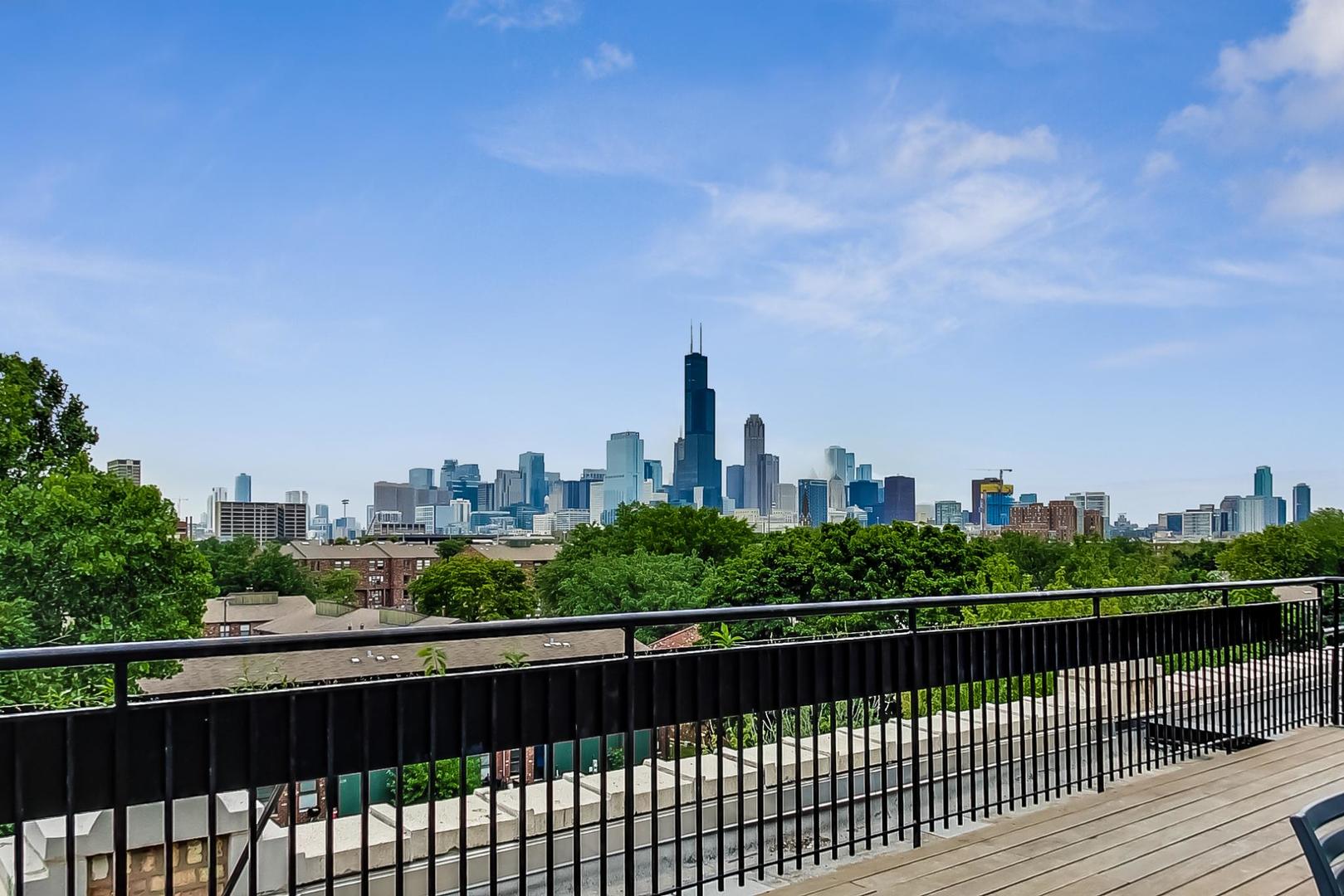 1069 West 14th Place, Unit 310 Chicago, IL 60608 - Photo 24 of 25 a view of a city skyline from a balcony