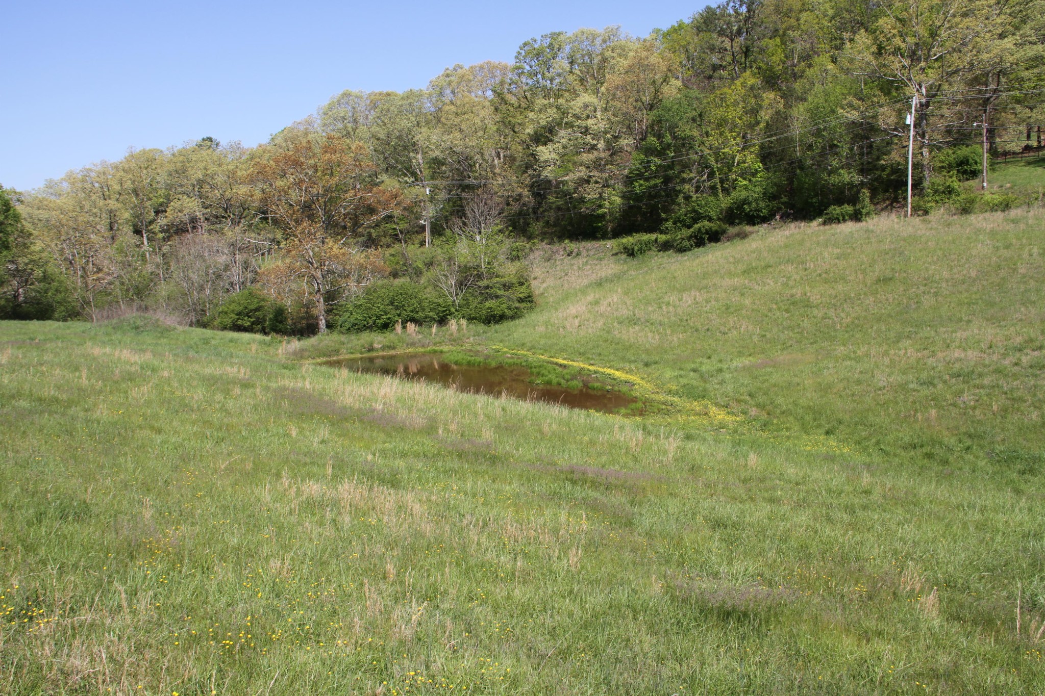 4662 Vonore Road Loudon, TN 37774 - Photo 13 of 17 a view of a field with trees in the background