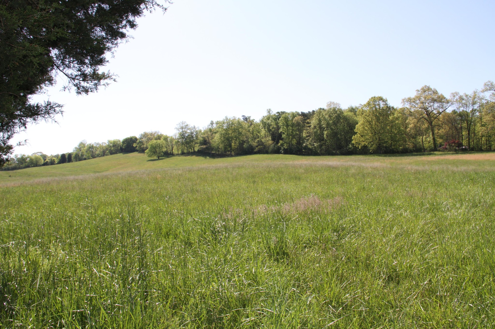4662 Vonore Road Loudon, TN 37774 - Photo 3 of 17 a view of field with trees in the background