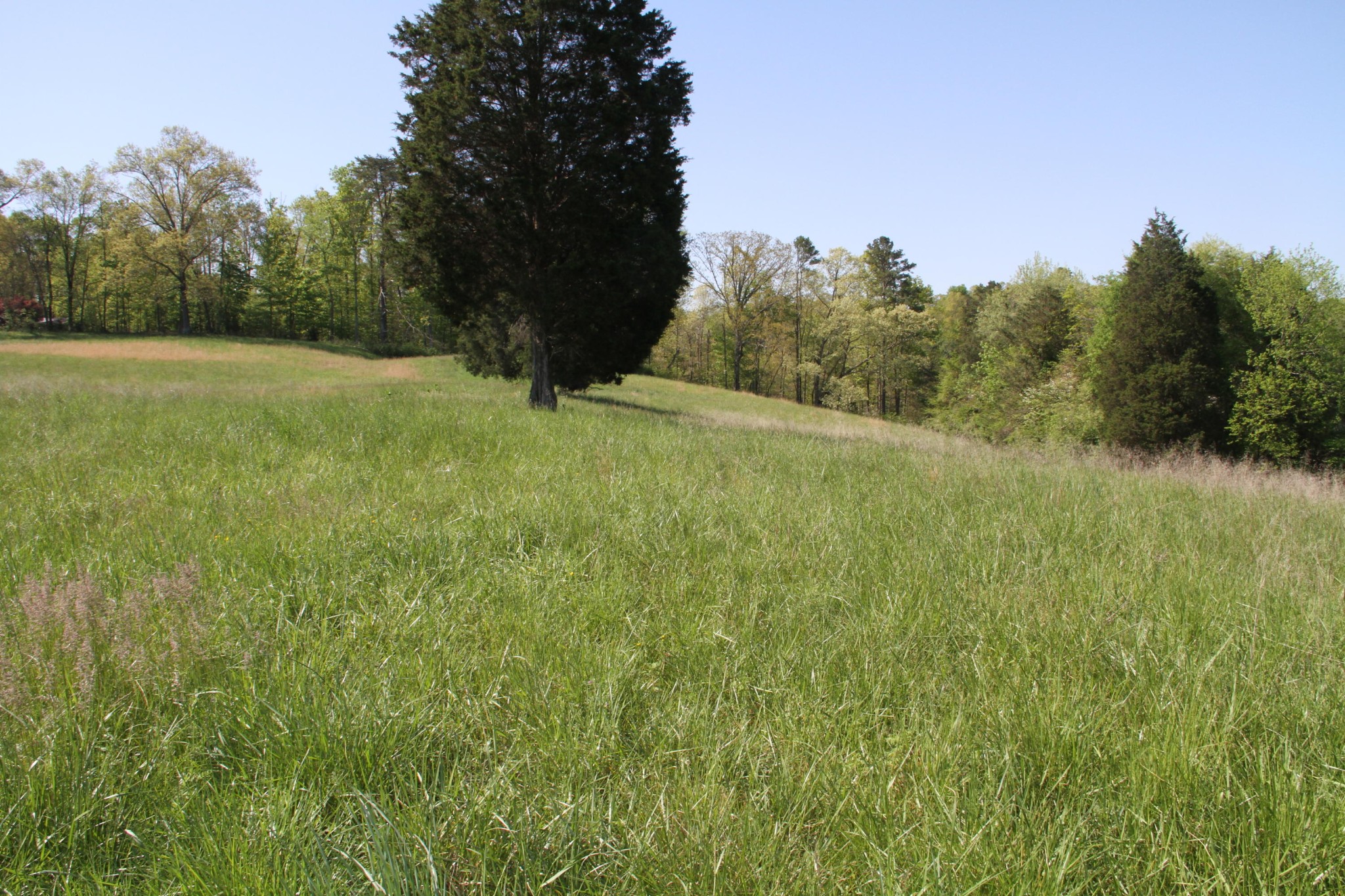 4662 Vonore Road Loudon, TN 37774 - Photo 5 of 17 a view of an outdoor space and a yard