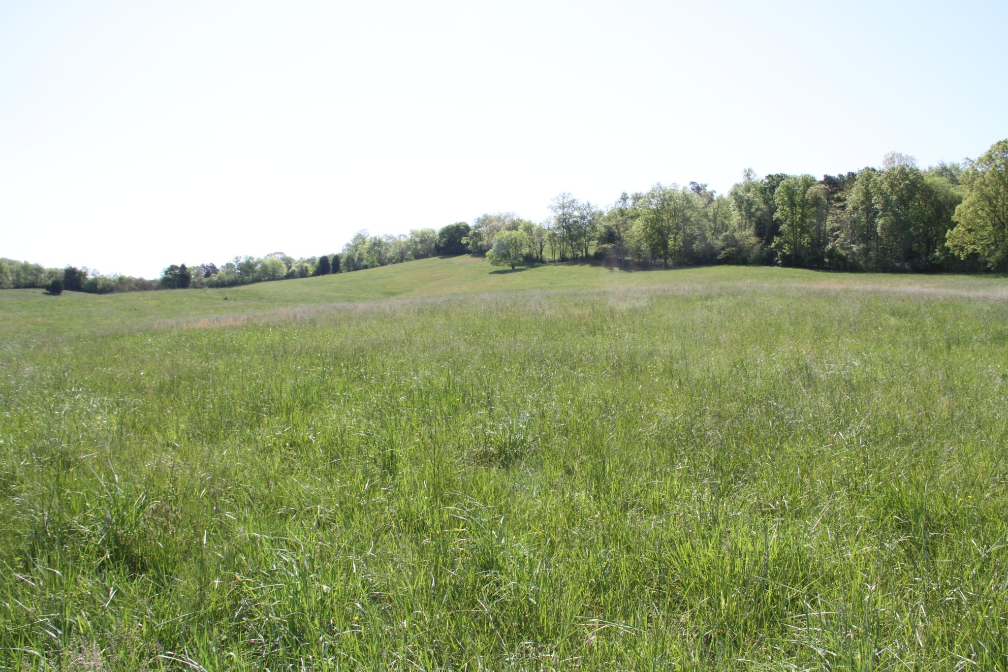 4662 Vonore Road Loudon, TN 37774 - Photo 6 of 17 a view of a field with an ocean