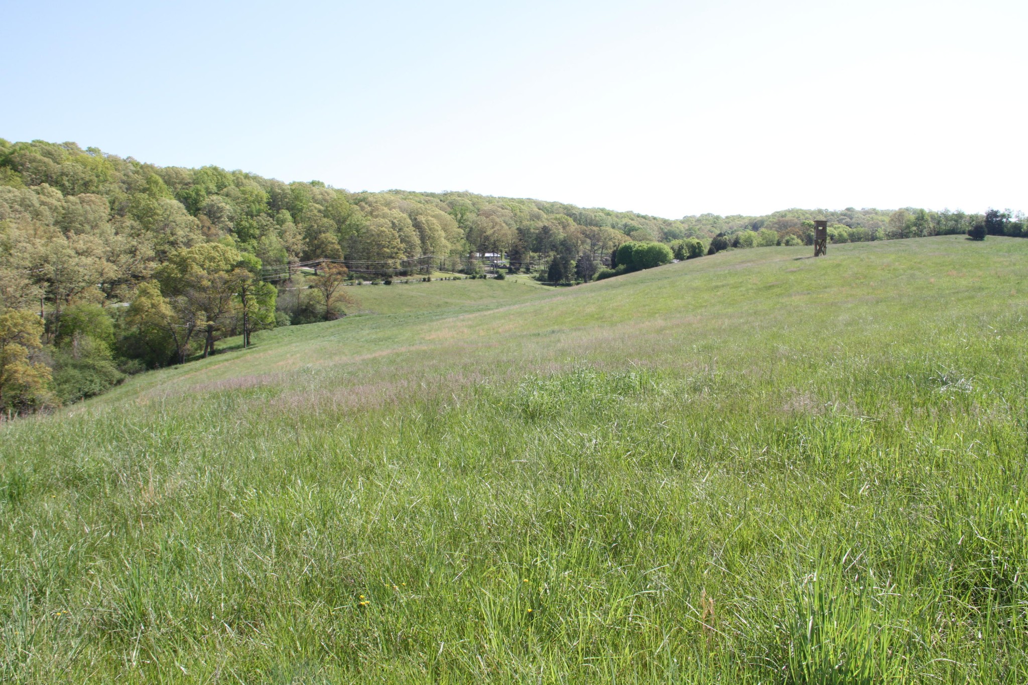 4662 Vonore Road Loudon, TN 37774 - Photo 7 of 17 a view of a lush green field