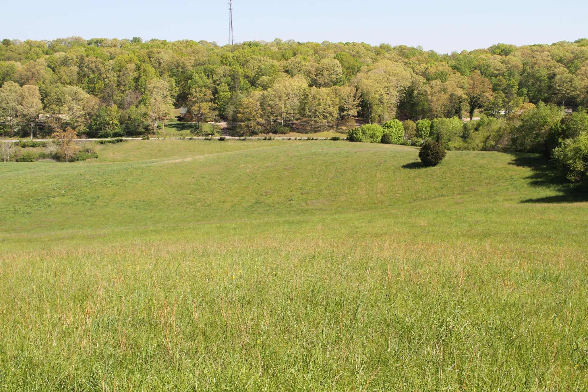 4662 Vonore Road Loudon, TN 37774 - Photo 10 of 17 a view of an ocean from a beach