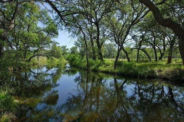 a view of backyard with green space
