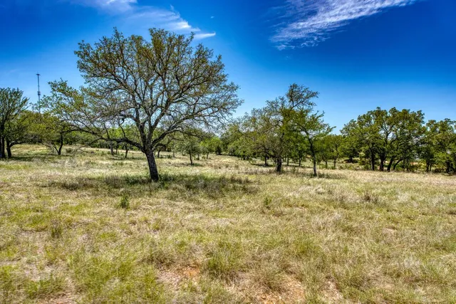 a view of an outdoor space with a tree