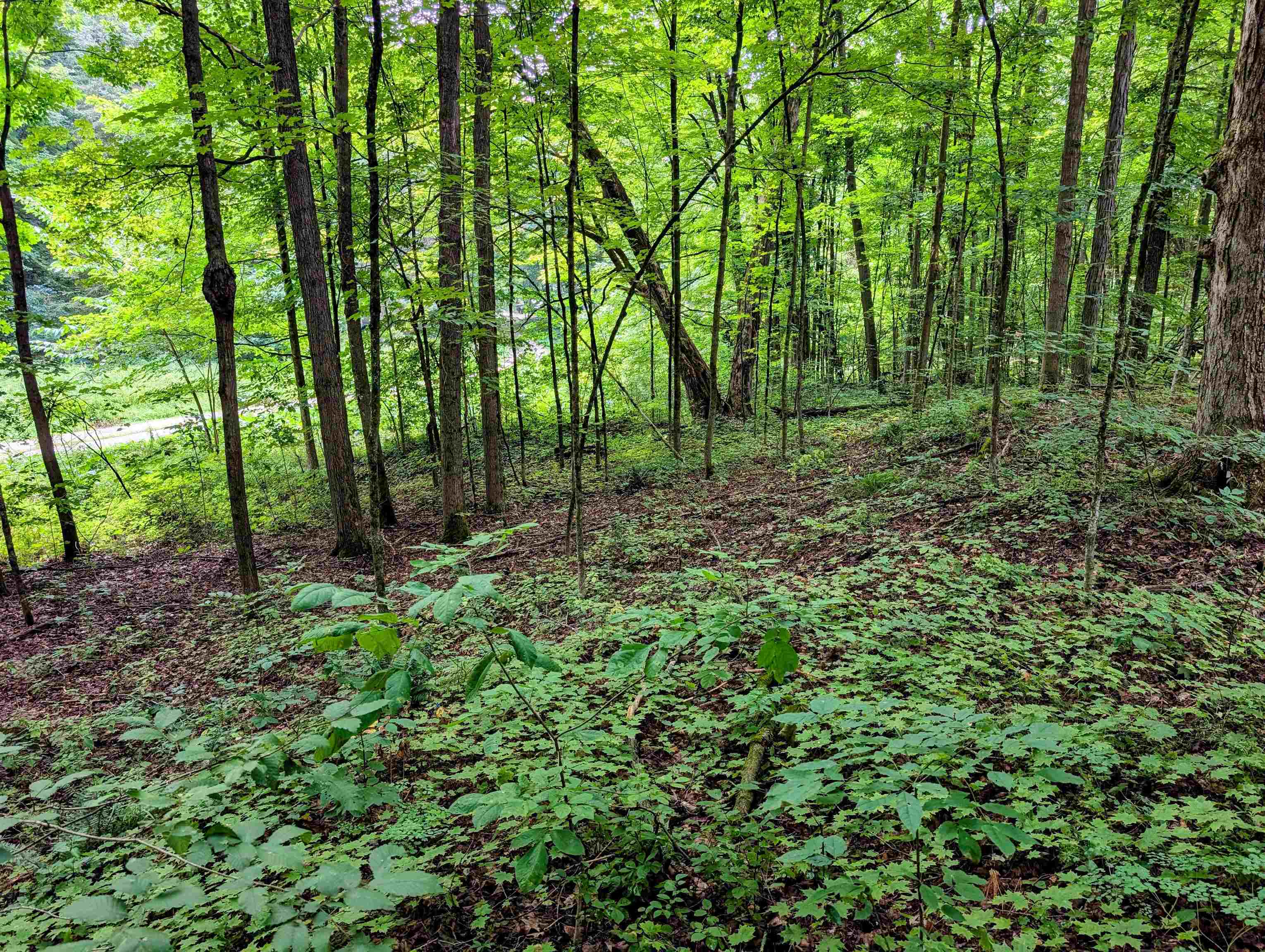 Lot 2 Winterbottom Rd Street Williston, VT 05495 - Photo 6 of 19 Gallery Image 6
